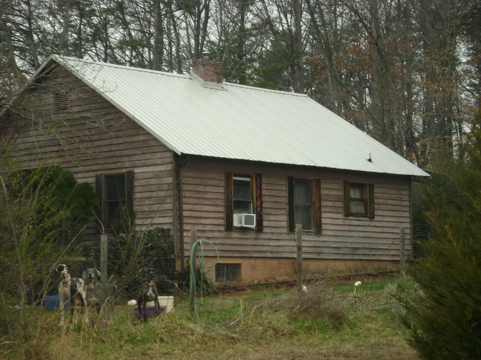 White metal roof on an old wood sided farmhouse, from a Asphalt Shingle Roof Repair job in Montauk